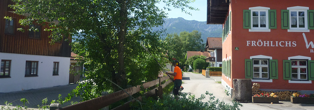 Oberland-Forst-Baumpflege-004